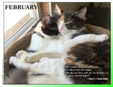 2027 Cat Lovers for LGBTQA+ Rights