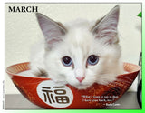 2027 Cat Lovers for LGBTQA+ Rights
