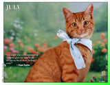 2027 Cat Lovers for LGBTQA+ Rights