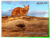 2027 Cat Lovers for LGBTQA+ Rights