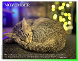 2027 Cat Lovers for LGBTQA+ Rights