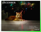 2027 Cat Lovers for LGBTQA+ Rights