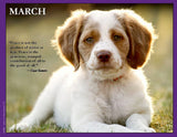 2027 Pups for Peace