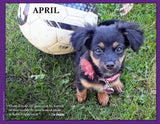 2027 Pups for Peace