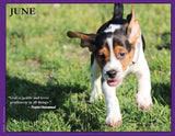 2027 Pups for Peace