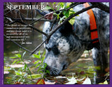 2027 Pups for Peace