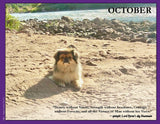 2027 Pups for Peace