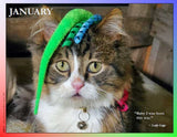 2023 Cat Lovers for LGBTQA+ Rights