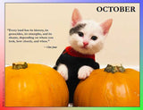 2023 Cat Lovers for LGBTQA+ Rights