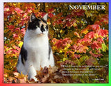 2023 Cat Lovers for LGBTQA+ Rights