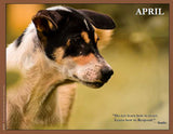 2023 Pups for Peace