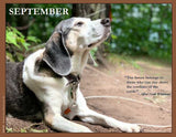 2023 Pups for Peace